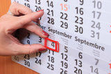 Calendar accessories - dim. 15x25mm_