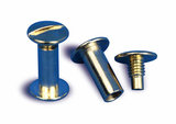 10mm gold binding screw_