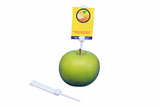 Spike with label holder - capacity 60mm - white_